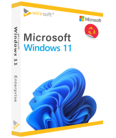 MICROSOFT WINDOWS 11 ENTERPRISE MICROSOFT WINDOWS 11 ENTERPRISE
